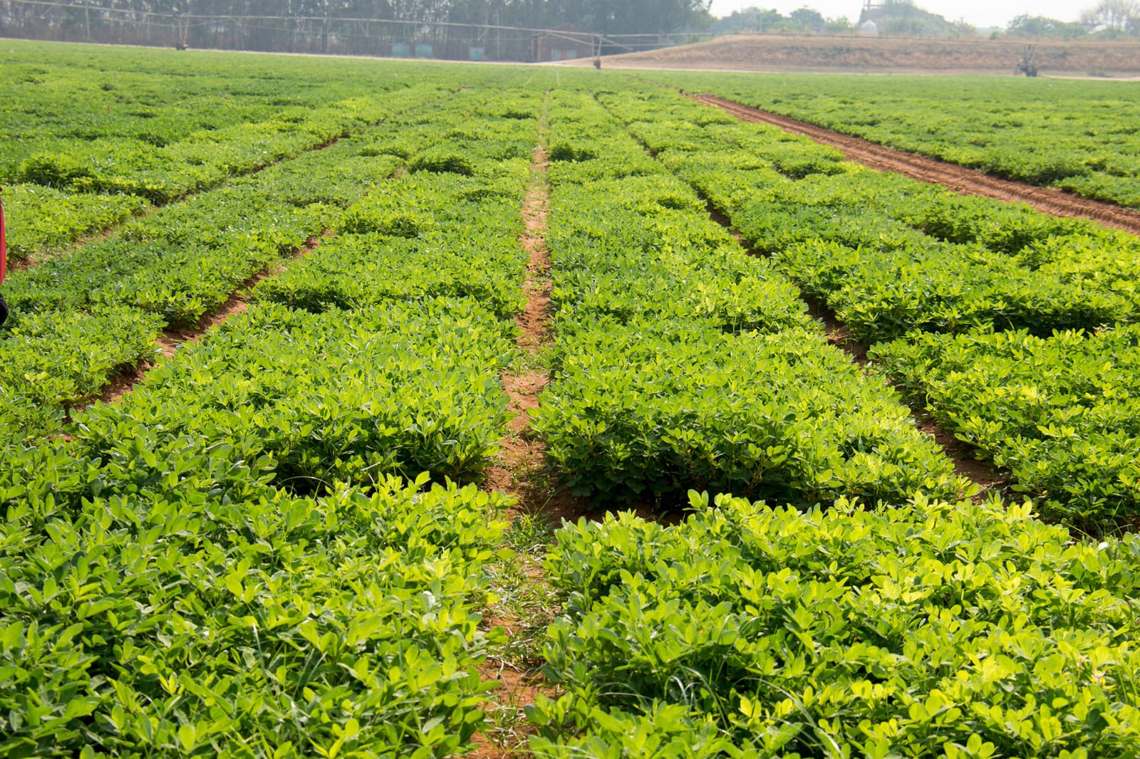 hero farm
